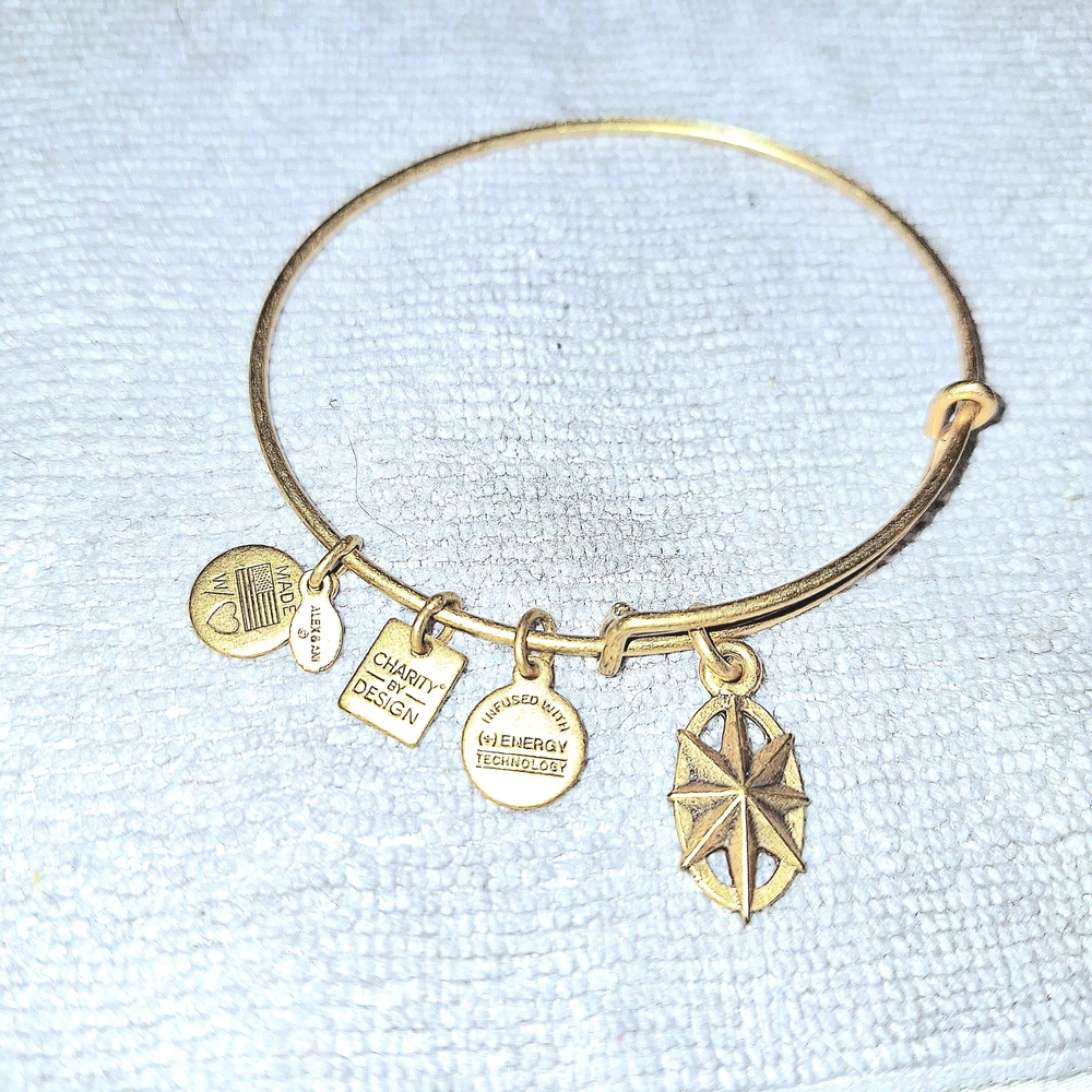 Alex and Ani The Northern Star Gold Tone Bangle Charm Bracelet- Expandable